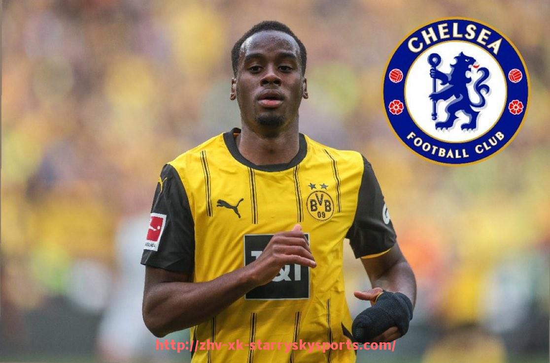 星空体育-法甲联赛2024-2025赛季最佳战术体系详细分析